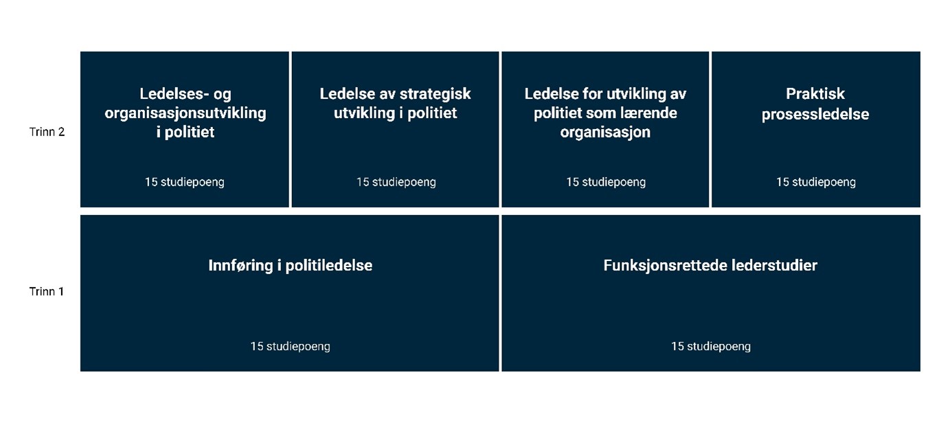 Videreutdanningene i politiledelse er organisert i to trinn. På trinn 1 er lederutdanningene Innføring i politiledelse og de funksjonsrettede lederutdanningene. Trinn 2 består av fire selvstendige emner med ulike faglige profiler. 