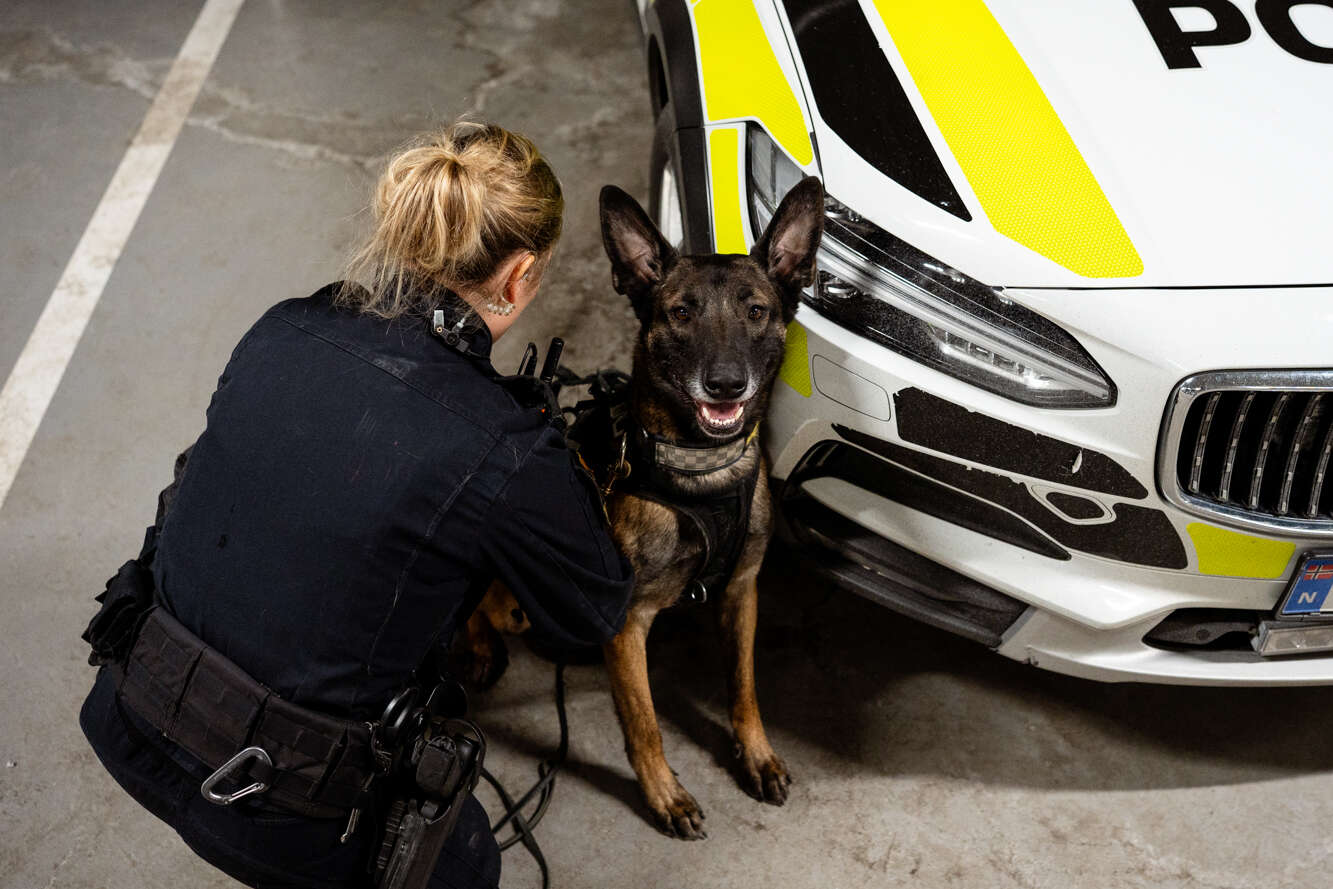 politihund,politi,operativt