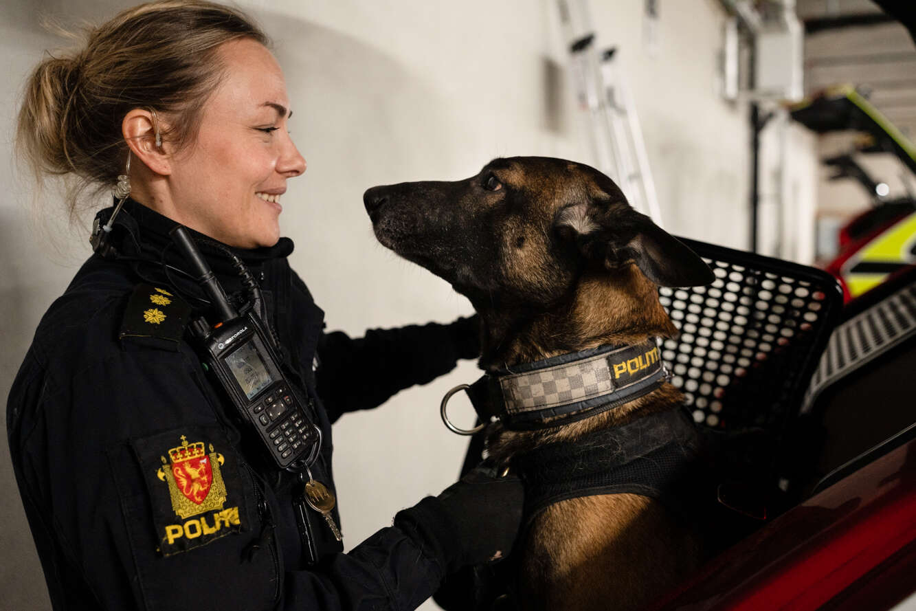 politidame, operativt,politihund